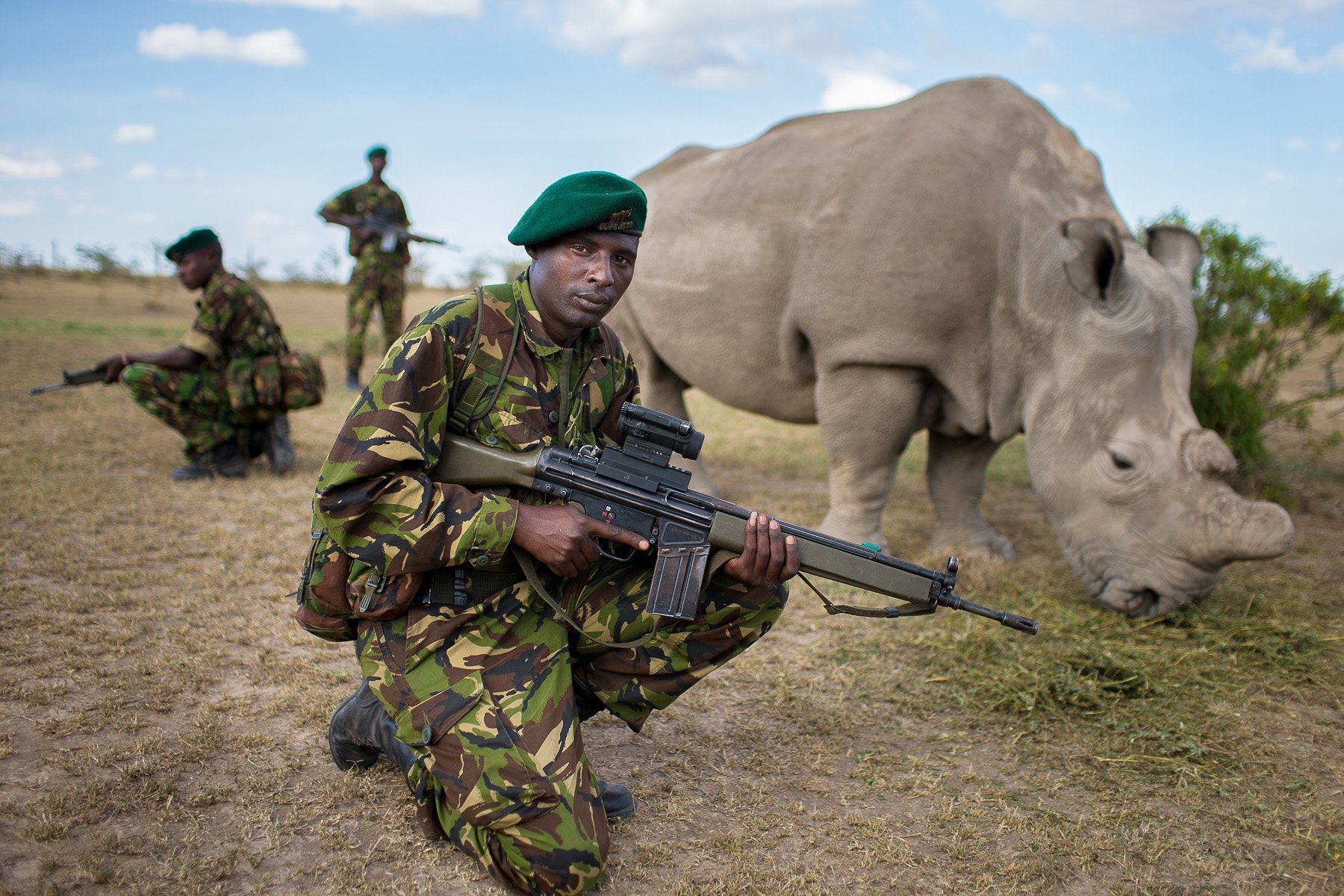 Rhino bodyguards